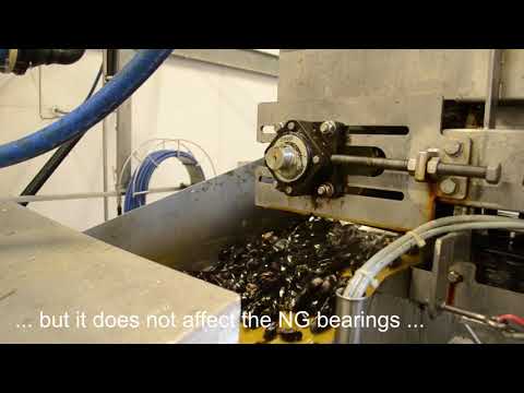 BJ-Gear A/S solves challenges in the production of mussels