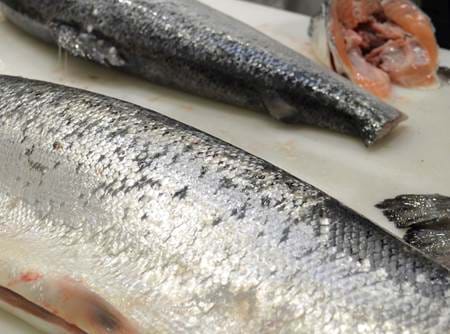 Filleting process at Marel in Støvring